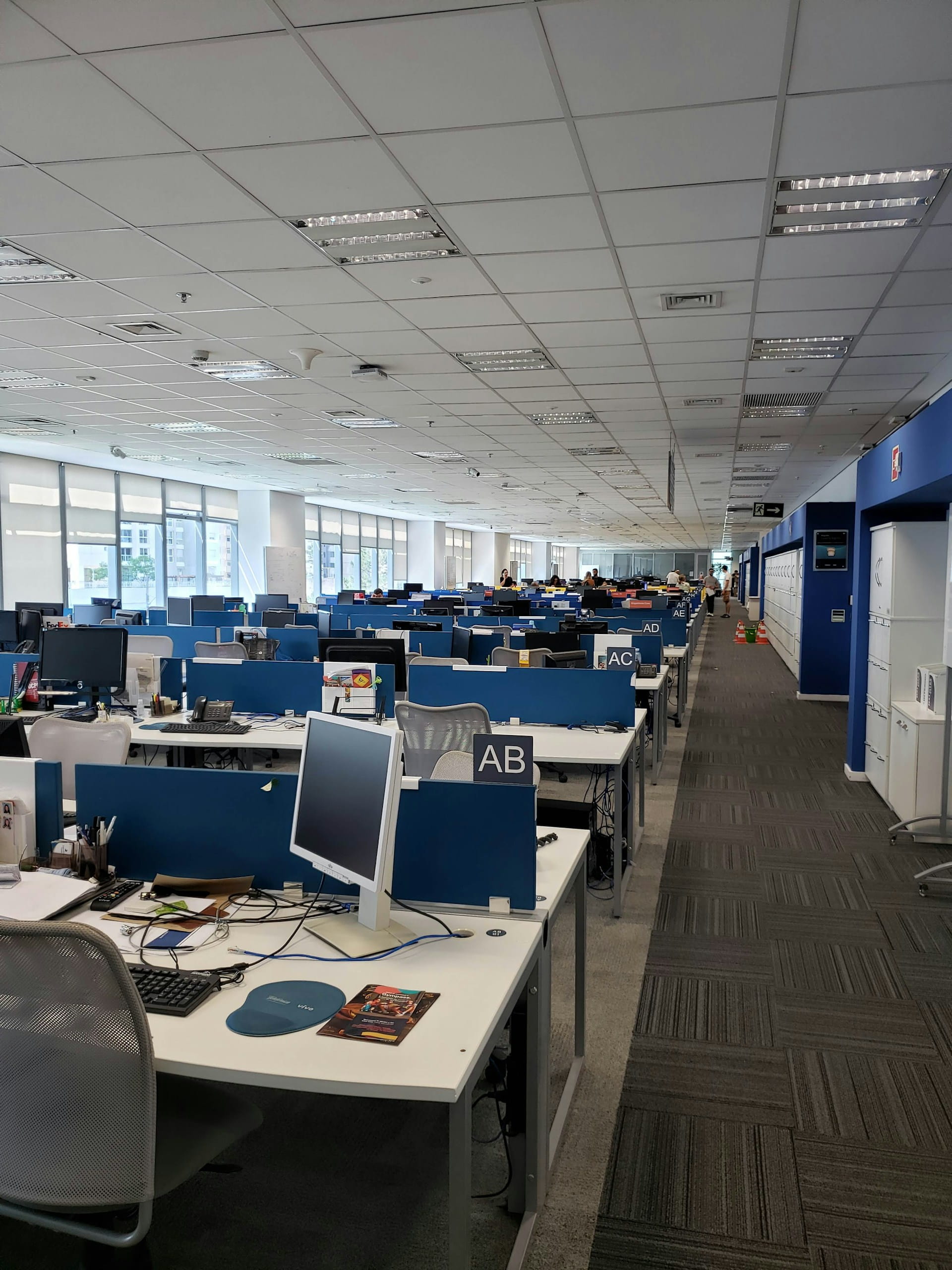 blue-office-portrait